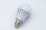 Світлодіодна лампа EBL-6007, E27