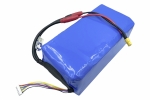 Збірка 6S10P (прямокутник) з 21700-42A Molicel 22,2V 42 000mAh, 365A